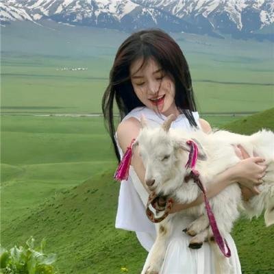 心灵与智慧 封面