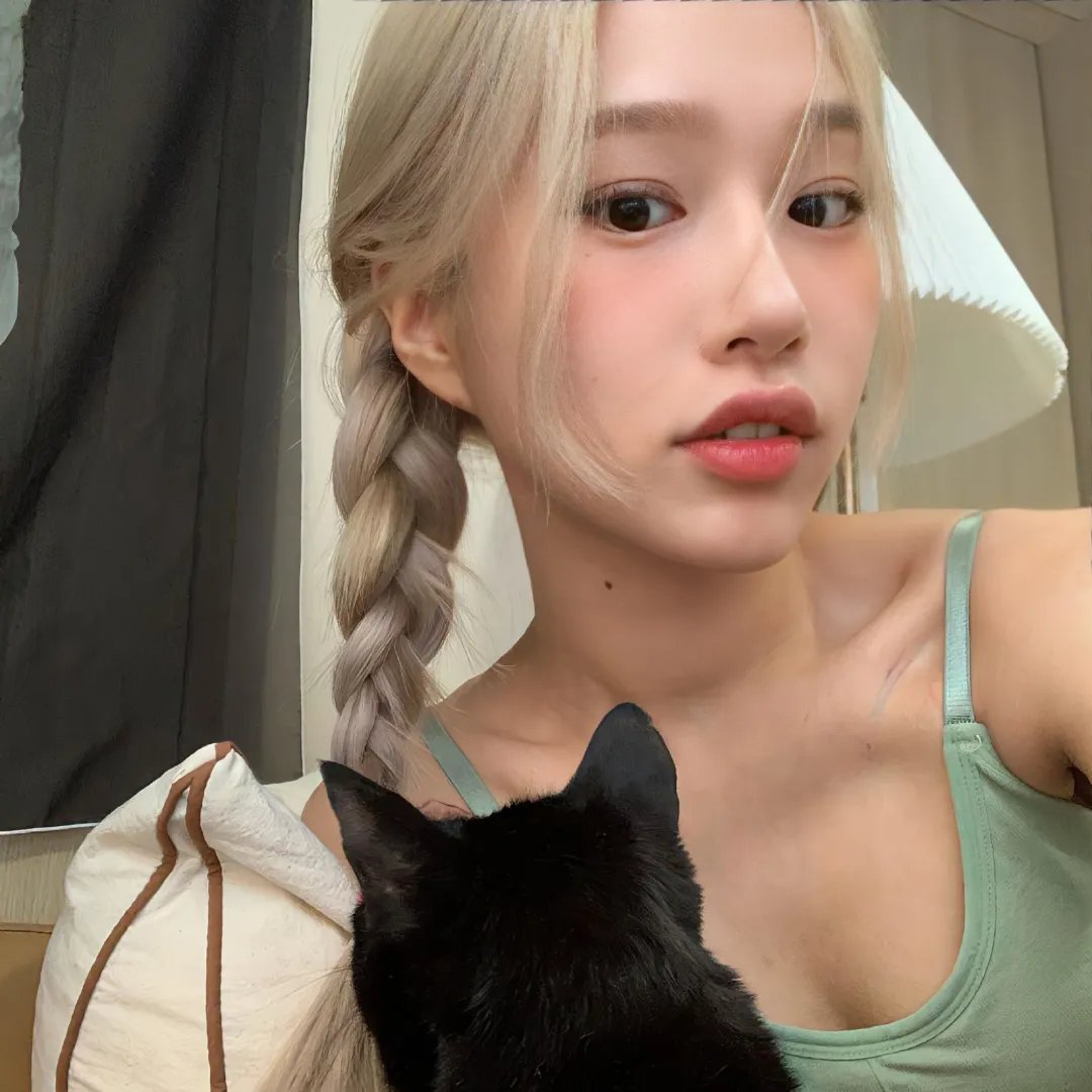 猫和老鼠50周年纪念版 焦点封面
