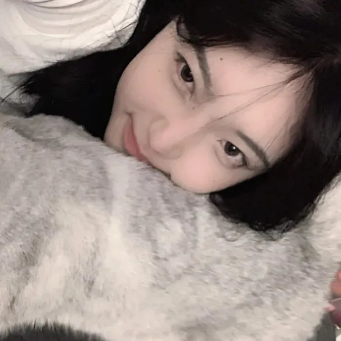 我是海鸥 封面